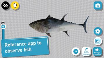 Fish 3D Reference gönderen