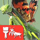 APK Insect 3D Reference
