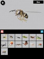 Insect 3D Reference capture d'écran 1