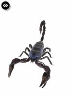 昆虫3D資料 スクリーンショット 3