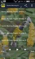 Suara Burung Sogok Ontong скриншот 1