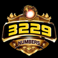 3229 Numbers