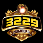 3229 Numbers ikon