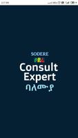 Sodere Consult Expert Affiche