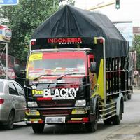 Car Truck Modification 2019 اسکرین شاٹ 1