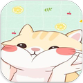 Cute Cat Wallpaper