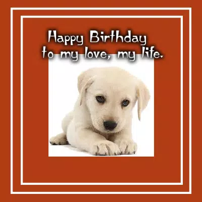Happy Birthday Wishes & Greetings APK pour Android Télécharger Happy Birthday Wishes & Greetings APK pour Android Télécharger