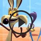 Road Runner Cartoon : All Episodes иконка