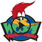 Woody Woodpecker Cartoons Series : All Episodes أيقونة
