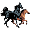 ikon Horse breeds - Photos