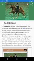 Races de chevaux Affiche