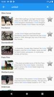 Horse breeds screenshot 2