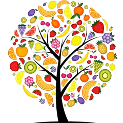 Liste der Obstbäume APK Herunterladen