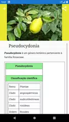 Baixar Árvores frutiferas XAPK