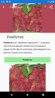 Справочник фруктовых деревьев постер