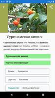 Справочник фруктовых деревьев скриншот 3
