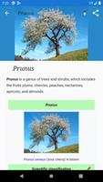 Reference book of fruit trees plakat