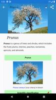 Reference book of fruit trees poster