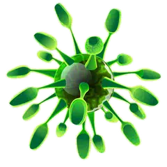 Viruses APK download