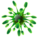 Virus APK