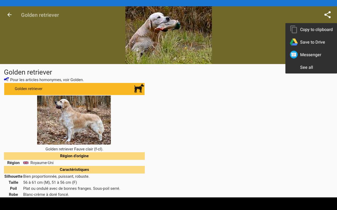 Race De Chien Pour Android Téléchargez Lapk