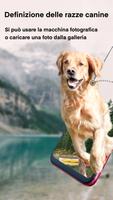 Poster Razze canine