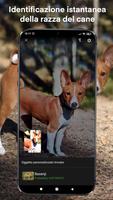 2 Schermata Razze canine
