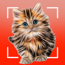 Cat breeds - Smart Identifier APK