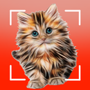 Races de chats - Identifiant APK