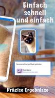 Katzenrasse - Fotos, Kennung Screenshot 1