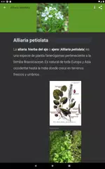 Descargar XAPK de Plantas medicinales