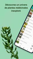 Plantes médicinales Affiche
