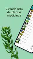 Chá, Plantas, Ervas Medicinais Cartaz