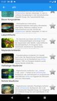 Aquariumfisch Screenshot 1