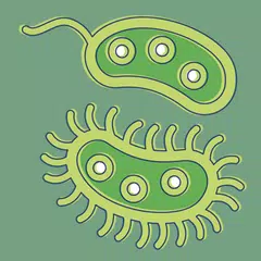 Bacteria: Types, Infections XAPK download