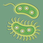 Bakterien.Lexikon der Biologie Zeichen