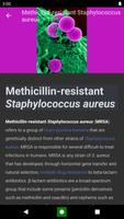 Bacteria poster