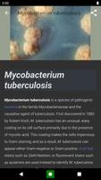 Bacteria স্ক্রিনশট 1