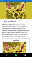 Bakterien.Lexikon der Biologie Plakat