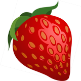 Encyclopedia of Berries. Photo icon