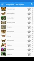 Mariposas captura de pantalla 1