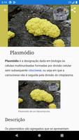 Biologia Celular Cartaz