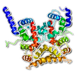 Human proteins 아이콘