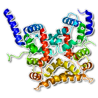 Human proteins icon