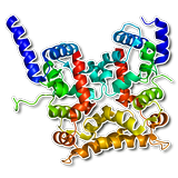Белки человека - протеин APK
