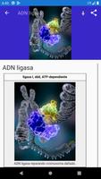 Biología molecular Poster