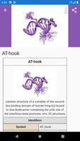 Molecular biology โปสเตอร์