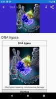 Molecular biology 截图 2