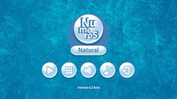 Números Naturales 海报