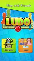 Ludo Poster